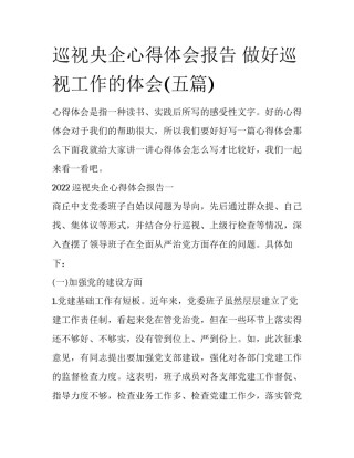 巡视央企心得体会报告 做好巡视工作的体会(五篇)