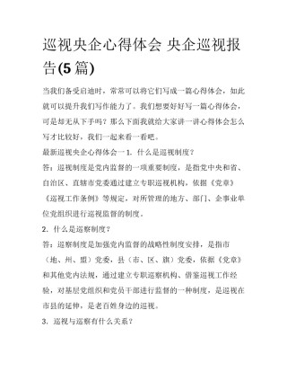 巡视央企心得体会 央企巡视报告(5篇)