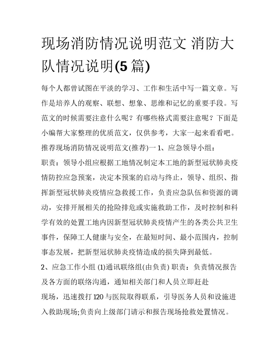 现场消防情况说明范文 消防大队情况说明(5篇)_第1页