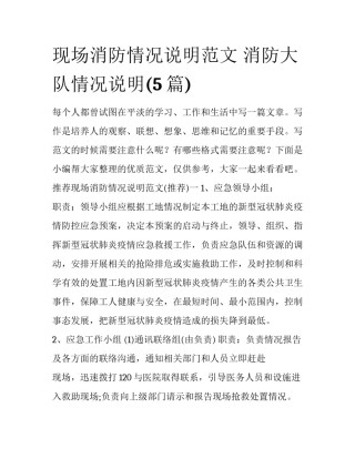 现场消防情况说明范文 消防大队情况说明(5篇)