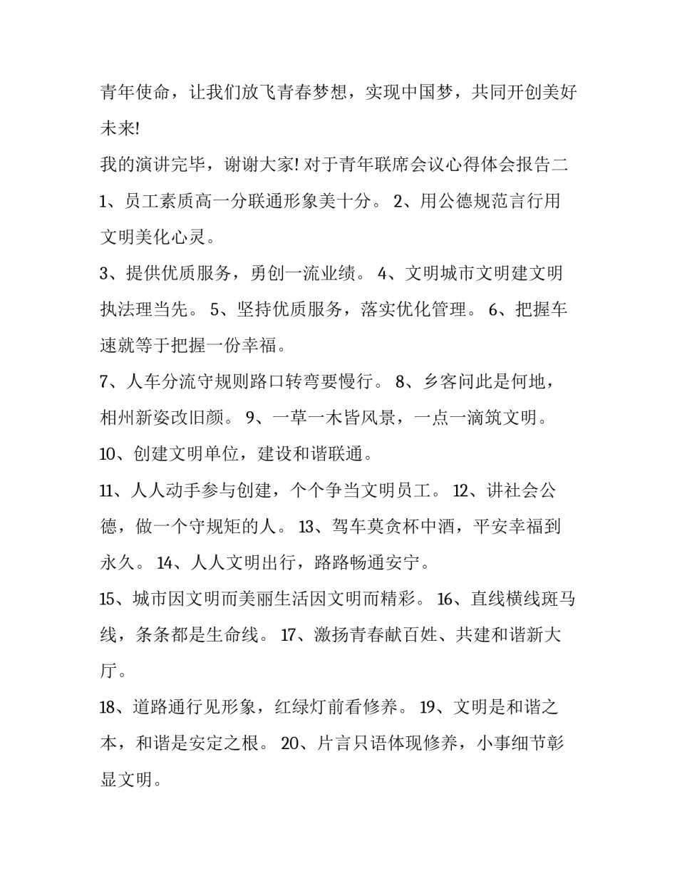 青年联席会议心得体会报告 青年联合会议感想(4篇)_第3页