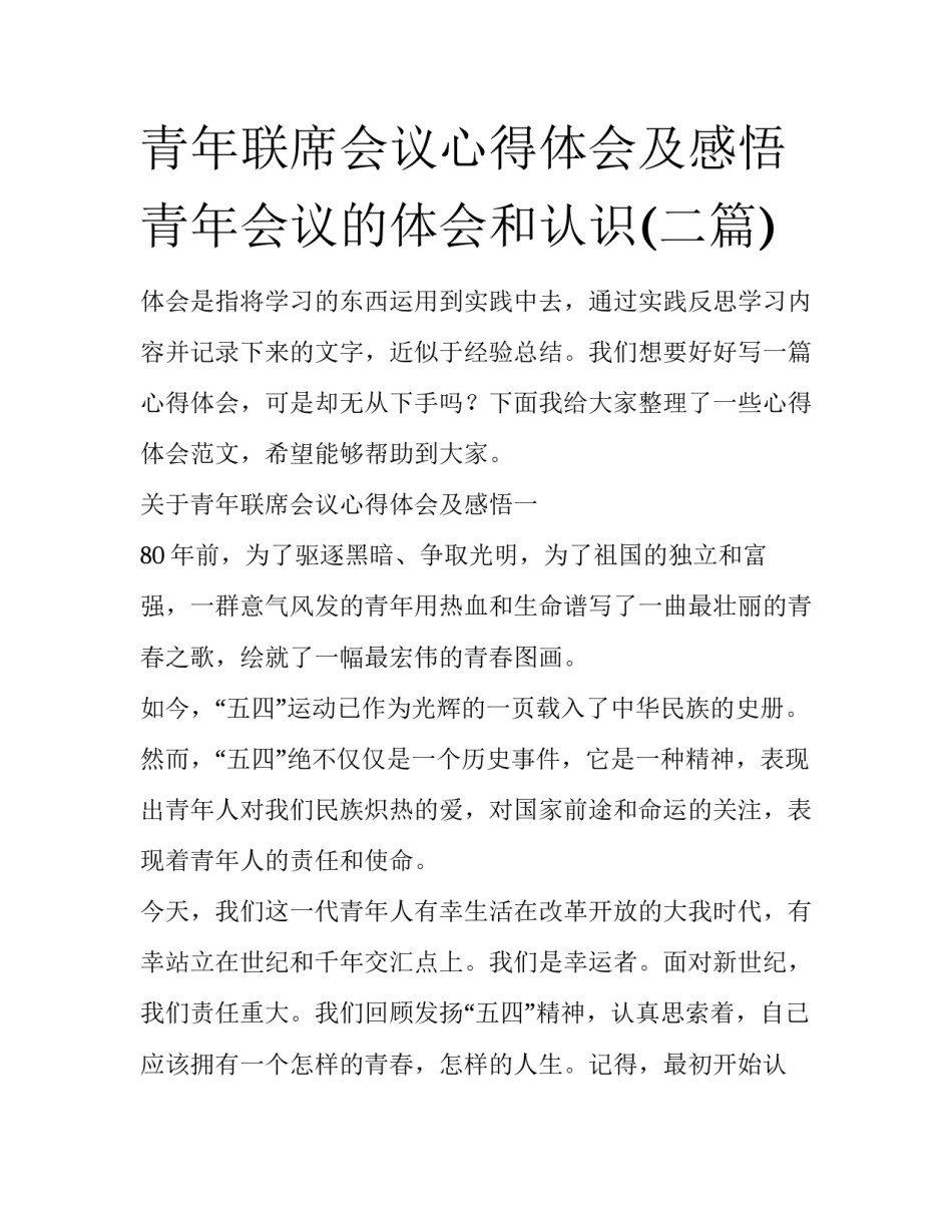青年联席会议心得体会及感悟 青年会议的体会和认识(二篇)_第1页