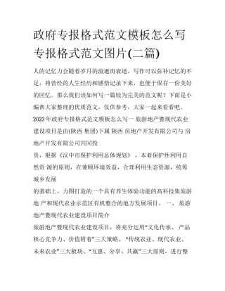 政府专报格式范文模板怎么写 专报格式范文图片(二篇)