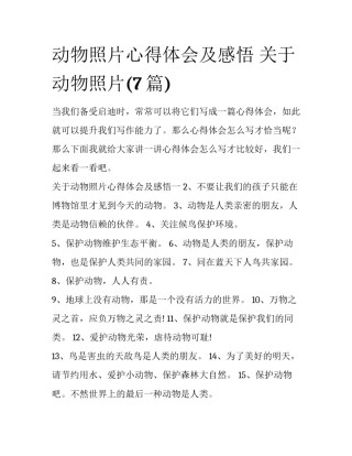 动物照片心得体会及感悟 关于动物照片(7篇)
