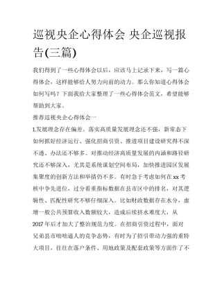 巡视央企心得体会 央企巡视报告(三篇)