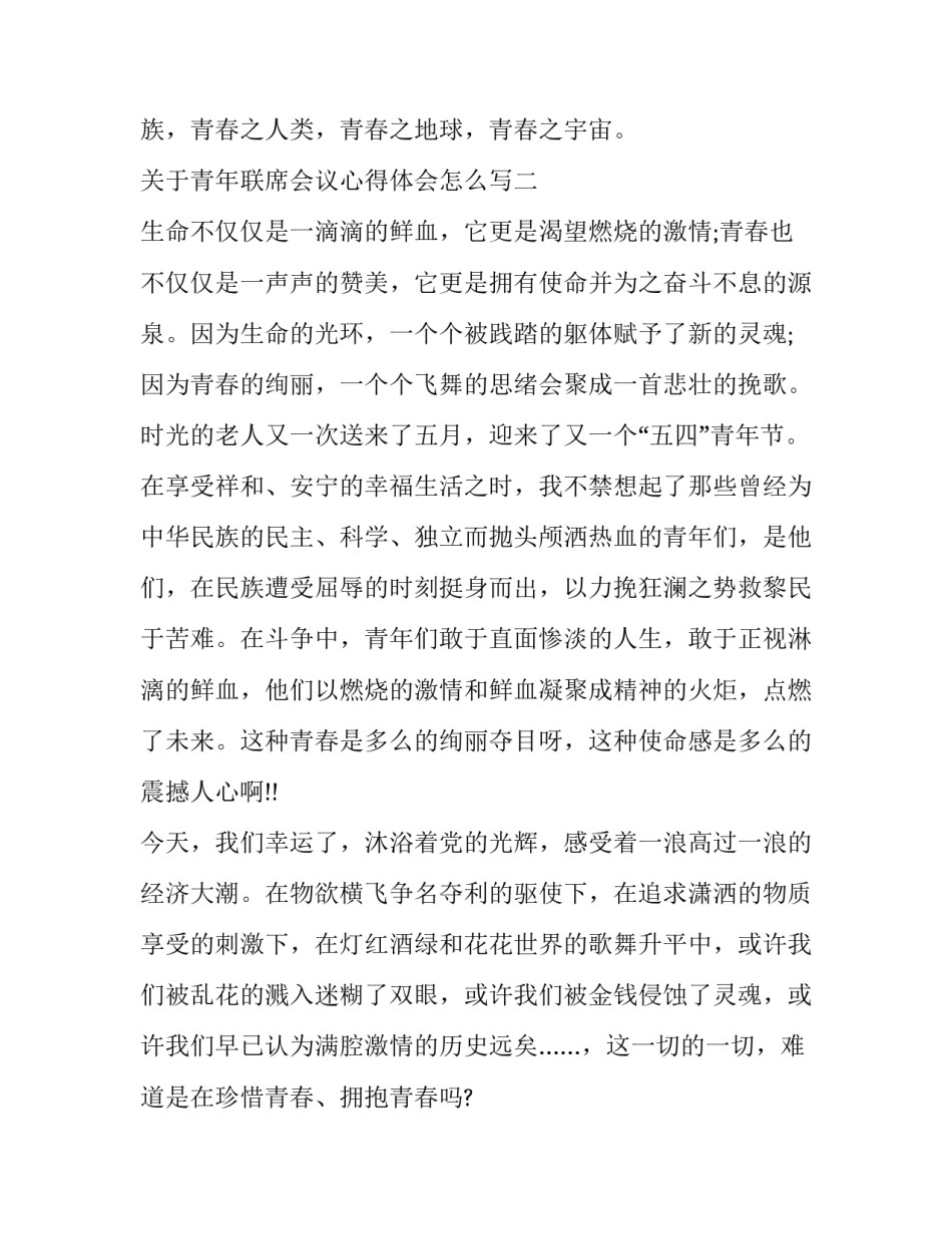 青年联席会议心得体会怎么写 第十三届青联会议心得体会(七篇)_第3页