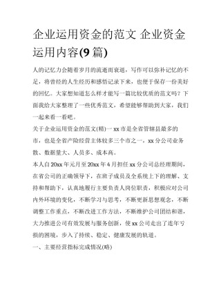 企业运用资金的范文 企业资金运用内容(9篇)