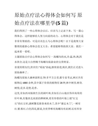 原始点疗法心得体会如何写 原始点疗法在哪里学(5篇)