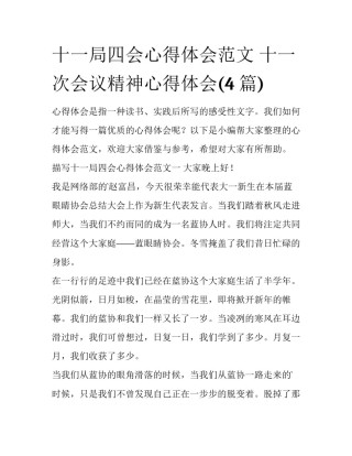 十一局四会心得体会范文 十一次会议精神心得体会(4篇)