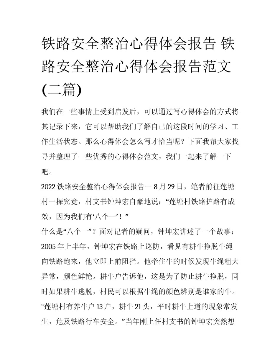 铁路安全整治心得体会报告 铁路安全整治心得体会报告范文(二篇)_第1页
