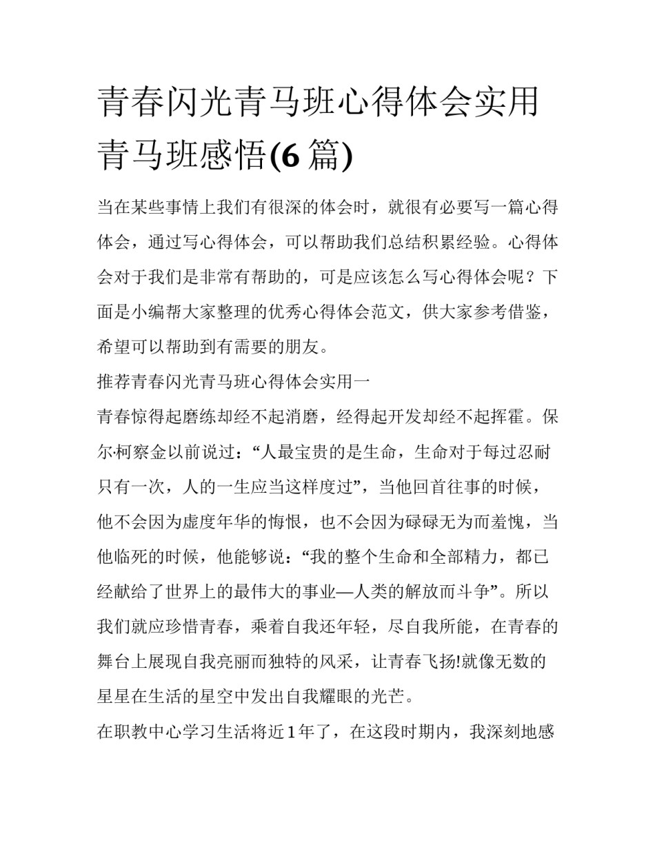 青春闪光青马班心得体会实用 青马班感悟(6篇)_第1页
