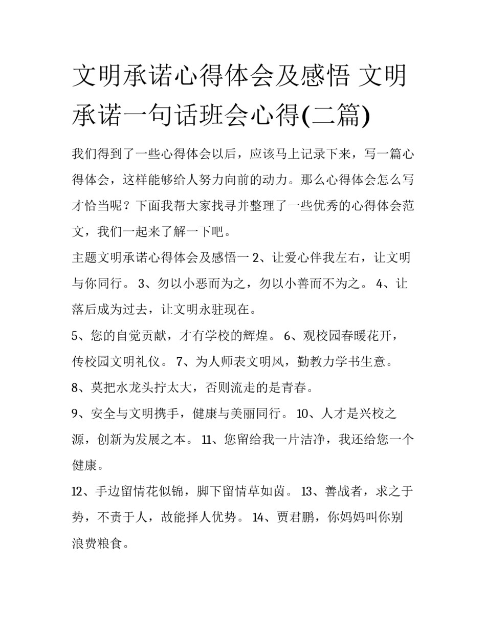 文明承诺心得体会及感悟 文明承诺一句话班会心得(二篇)_第1页