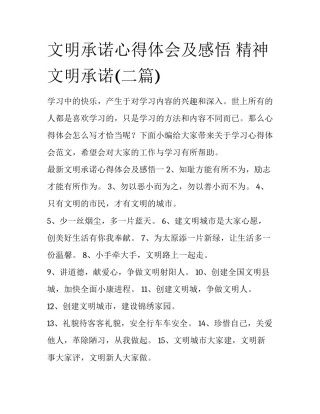 文明承诺心得体会及感悟 精神文明承诺(二篇)