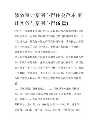 绩效审计案例心得体会范本 审计实务与案例心得(6篇)