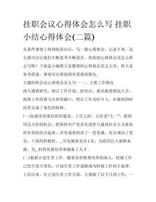 挂职会议心得体会怎么写 挂职小结心得体会(二篇)