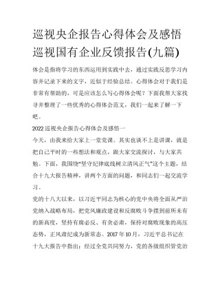 巡视央企报告心得体会及感悟 巡视国有企业反馈报告(九篇)