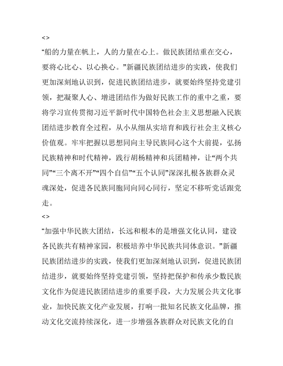 新疆总目标心得体会范文 做好新疆工作的总目标(二篇)_第2页