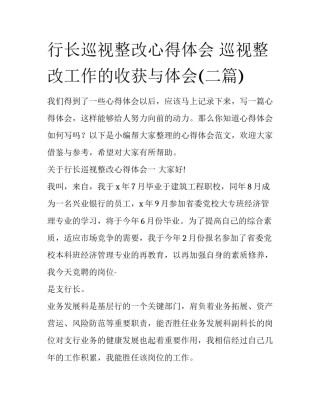 行长巡视整改心得体会 巡视整改工作的收获与体会(二篇)