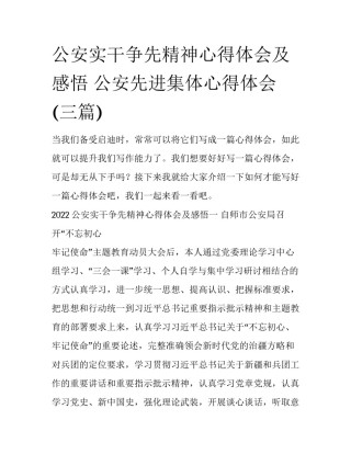 公安实干争先精神心得体会及感悟 公安先进集体心得体会(三篇)