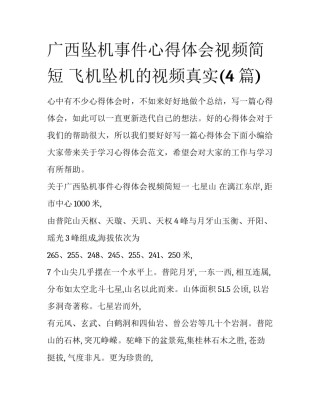 广西坠机事件心得体会视频简短 飞机坠机的视频真实(4篇)