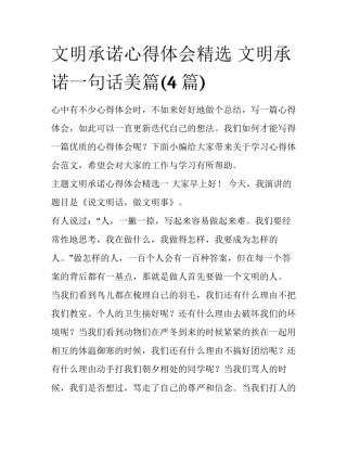 文明承诺心得体会精选 文明承诺一句话美篇(4篇)