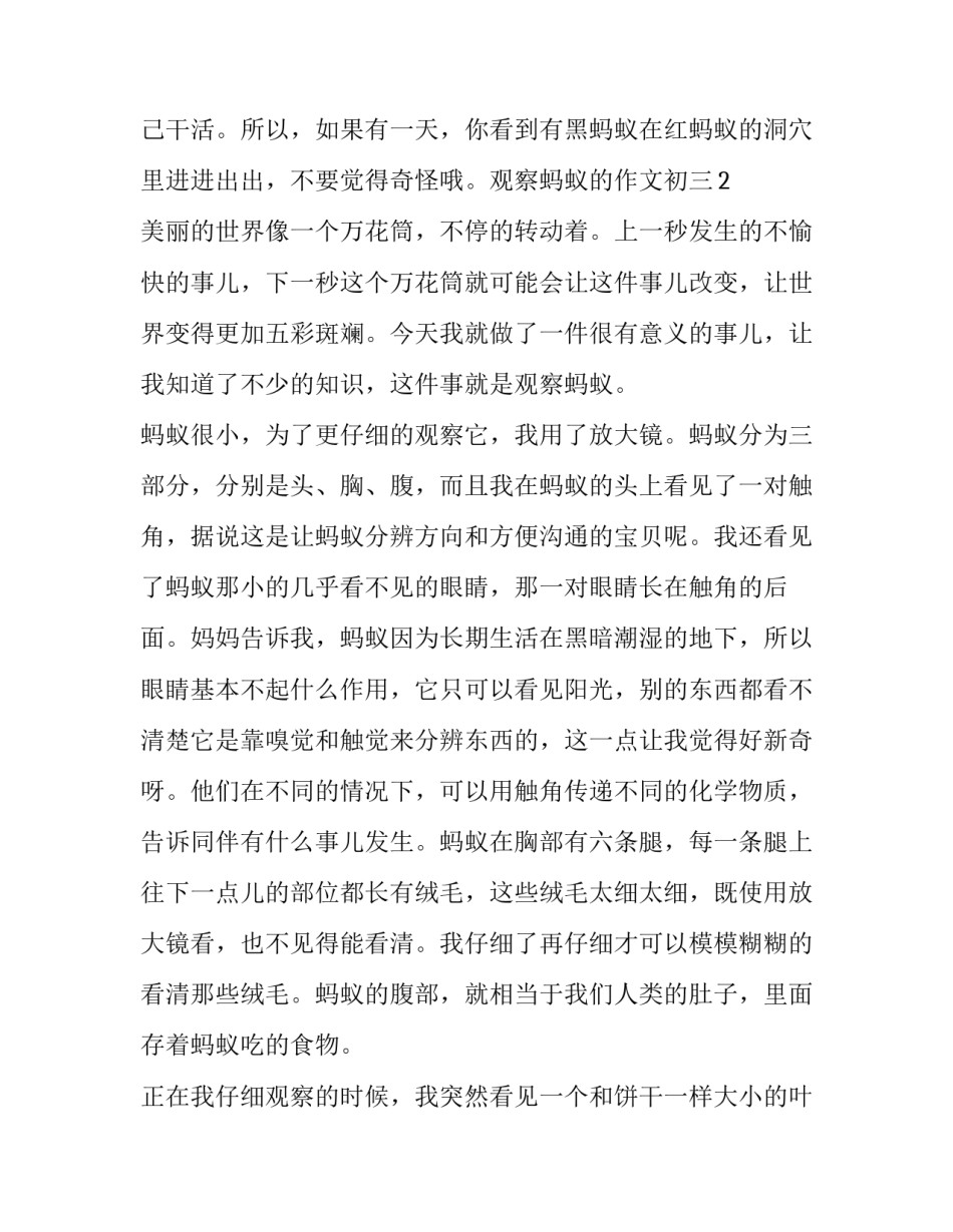 观察鸟类心得体会总结 观鸟的感想心得(6篇)_第3页