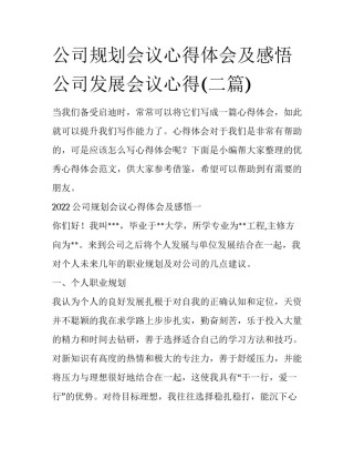 公司规划会议心得体会及感悟 公司发展会议心得(二篇)