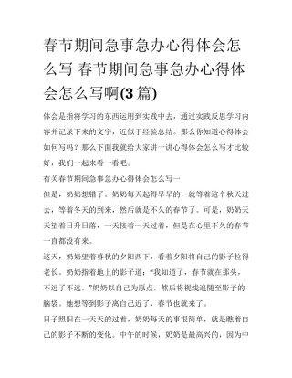 春节期间急事急办心得体会怎么写 春节期间急事急办心得体会怎么写啊(3篇)