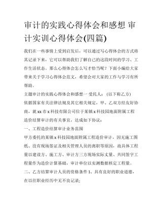 审计的实践心得体会和感想 审计实训心得体会(四篇)