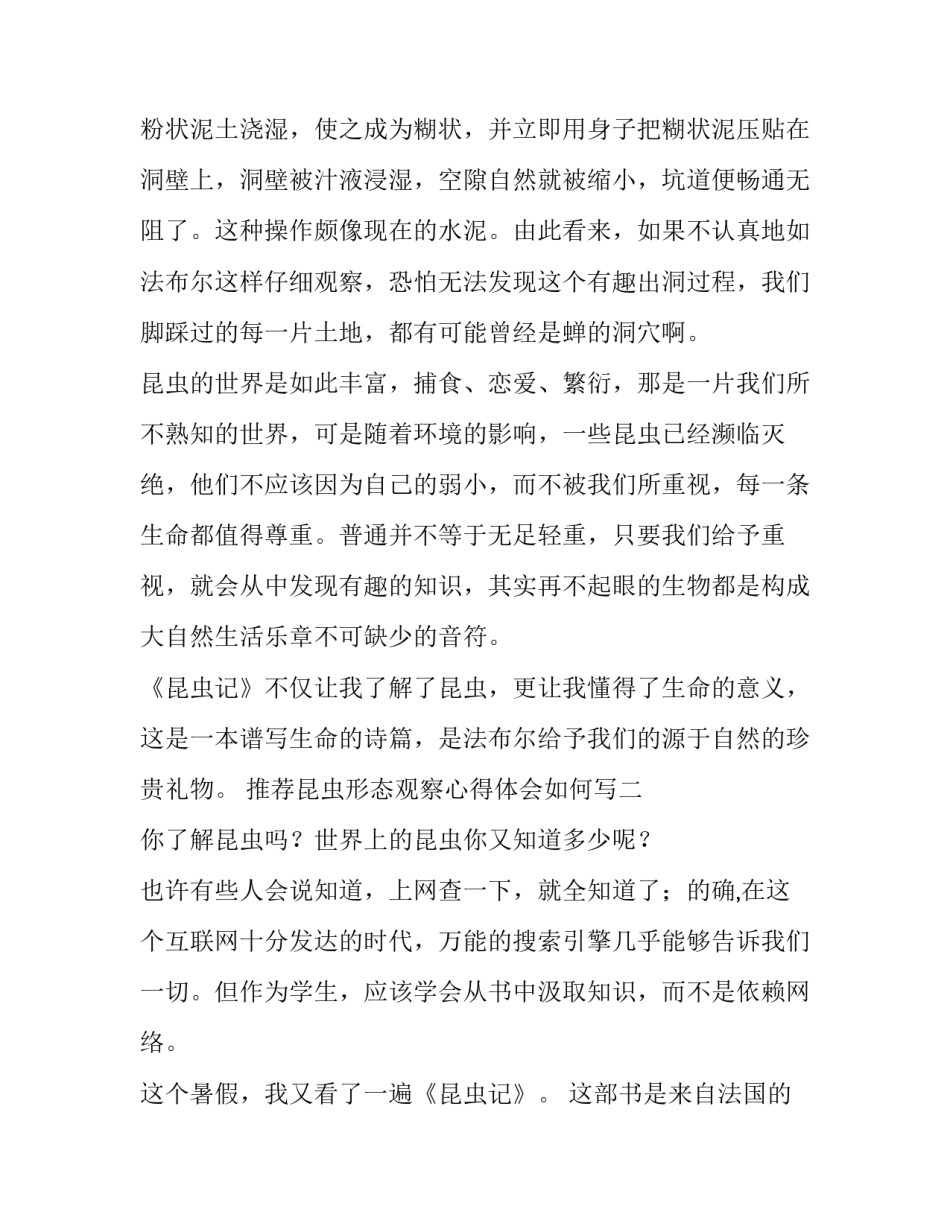 昆虫形态观察心得体会如何写 观察昆虫特点(二篇)_第2页