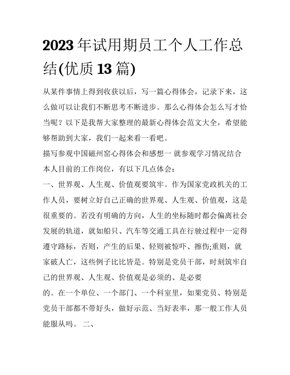 2023年试用期员工个人工作总结(优质13篇)_第1页