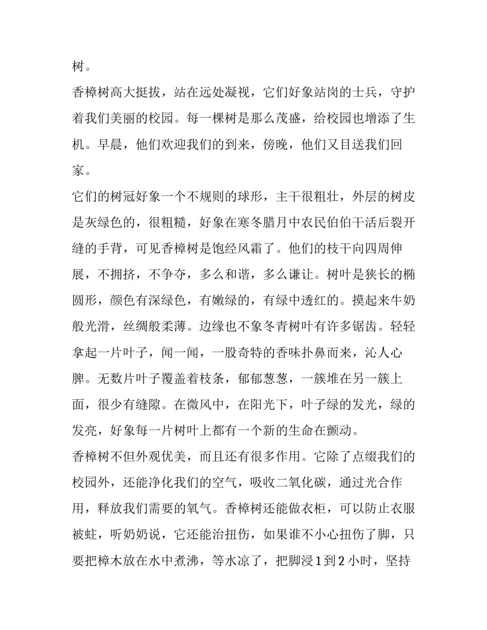 校园树木调查心得体会 校园植物调查心得体会(6篇)_第2页