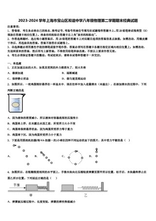 2023-2024学年上海市宝山区淞谊中学八年级物理第二学期期末经典试题含解析.doc