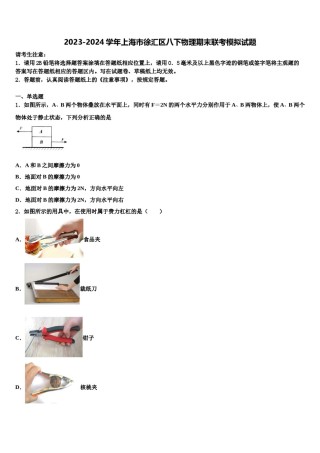 2023-2024学年上海市徐汇区八下物理期末联考模拟试题含解析.doc