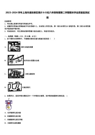 2023-2024学年上海市浦东新区南片十六校八年级物理第二学期期末学业质量监测试题含解析.doc
