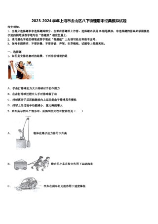 2023-2024学年上海市金山区八下物理期末经典模拟试题含解析.doc