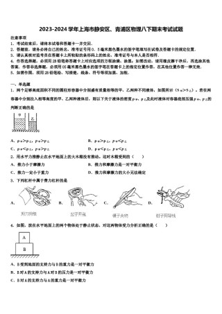2023-2024学年上海市静安区、青浦区物理八下期末考试试题含解析.doc