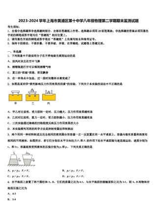 2023-2024学年上海市黄浦区第十中学八年级物理第二学期期末监测试题含解析.doc