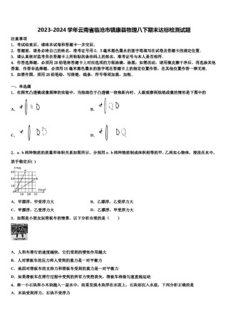 2023-2024学年云南省临沧市镇康县物理八下期末达标检测试题含解析.doc
