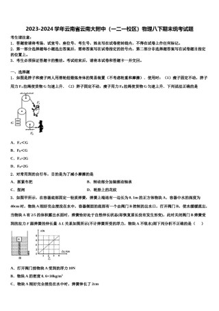 2023-2024学年云南省云南大附中（一二一校区）物理八下期末统考试题含解析.doc