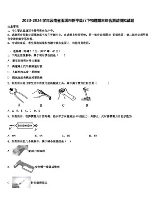 2023-2024学年云南省玉溪市新平县八下物理期末综合测试模拟试题含解析.doc