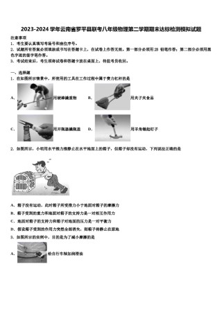 2023-2024学年云南省罗平县联考八年级物理第二学期期末达标检测模拟试题含解析.doc
