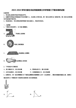 2023-2024学年内蒙古乌拉特前旗第三中学物理八下期末调研试题含解析.doc
