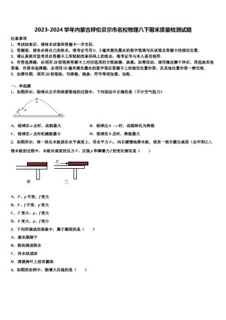 2023-2024学年内蒙古呼伦贝尔市名校物理八下期末质量检测试题含解析.doc