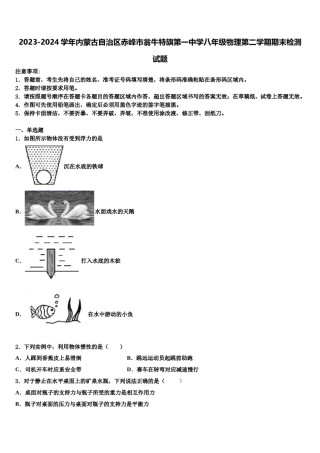 2023-2024学年内蒙古自治区赤峰市翁牛特旗第一中学八年级物理第二学期期末检测试题含解析.doc