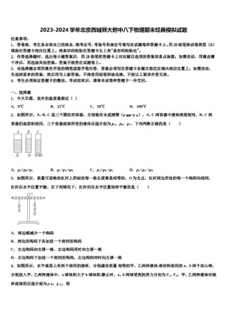 2023-2024学年北京西城师大附中八下物理期末经典模拟试题含解析.doc