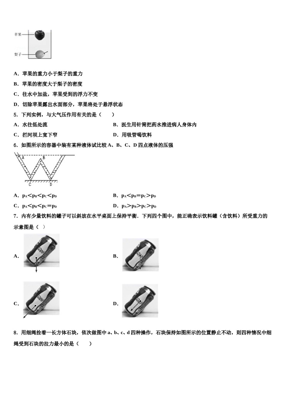2023-2024学年北师大二附中西城实验学校物理八下期末质量跟踪监视试题含解析.doc_第2页