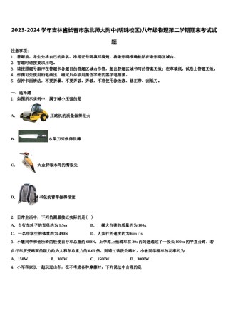 2023-2024学年吉林省长春市东北师大附中(明珠校区)八年级物理第二学期期末考试试题含解析.doc
