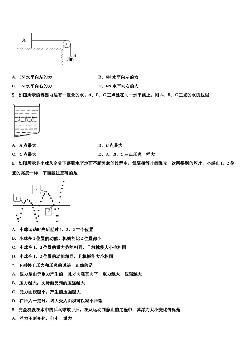 2023-2024学年吉林省长春市实验中学物理八下期末质量检测模拟试题含解析.doc_第2页