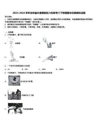 2023-2024学年吉林省长春朝阳区六校联考八下物理期末经典模拟试题含解析.doc